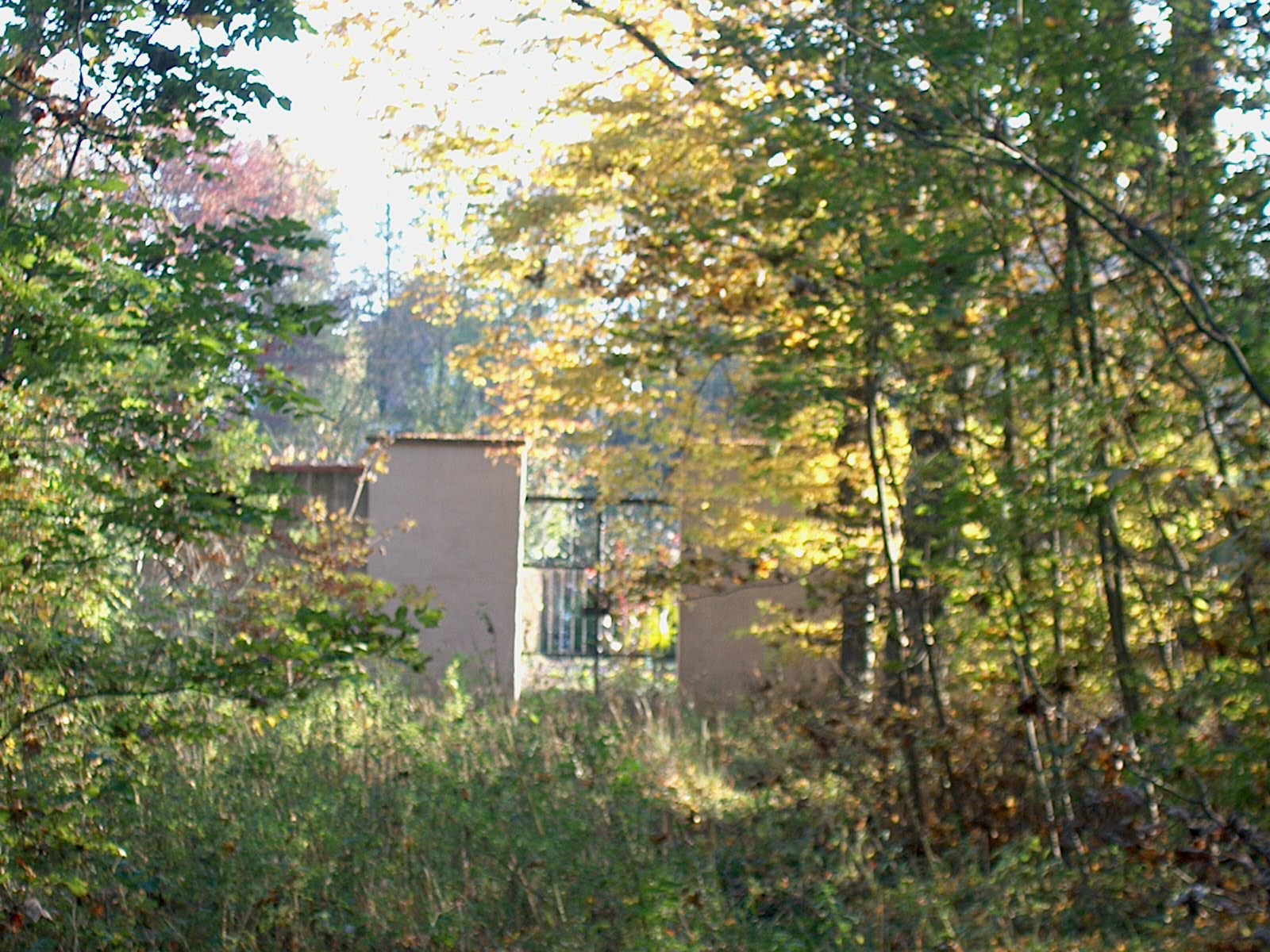 Nyphenburger Park 035 